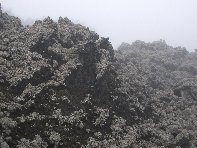 Monte Spagnolo